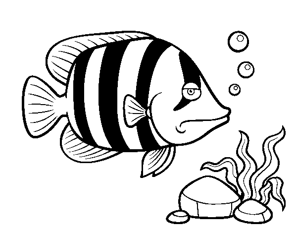 angel fish cat bowl coloring page
