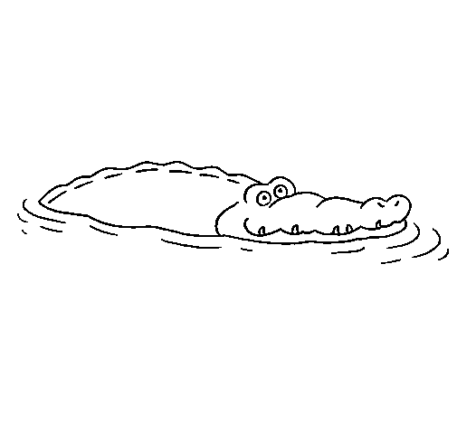 Crocodile 2 coloring page