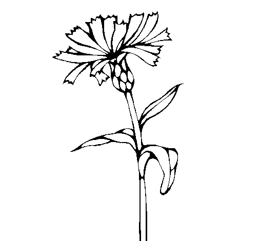 Flower 6 coloring page