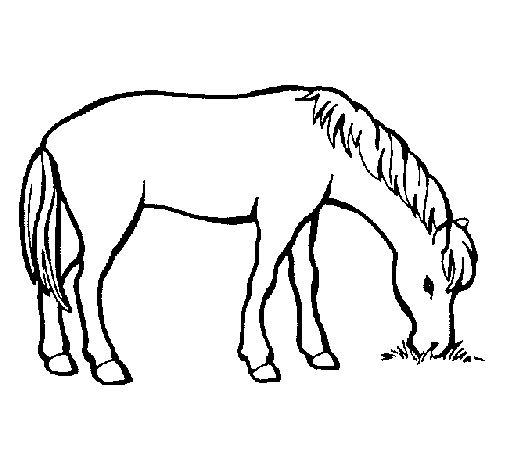 Horse eating coloring page