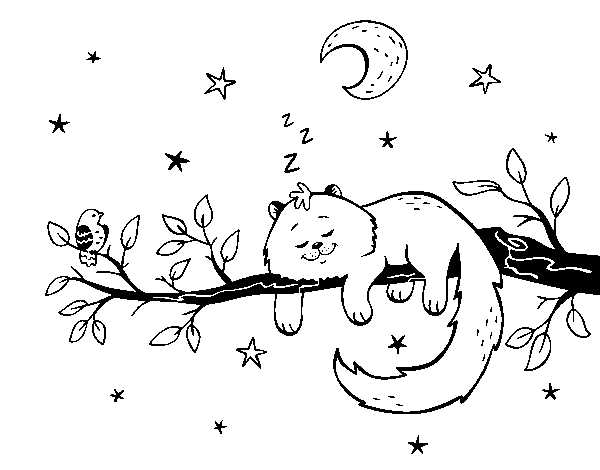 The cat and the moon coloring page