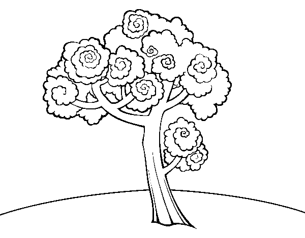 Walnut coloring page