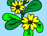 Coloring page Flowers painted bydani
