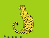 201650/seated-cheetah-animals-the-jungle-painted-by-gaby-106397_163.jpg
