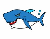 Toothy shark