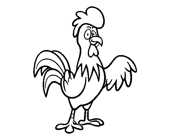 A free-range rooster coloring page