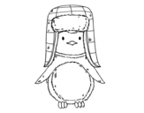 A penguin with cap coloring page