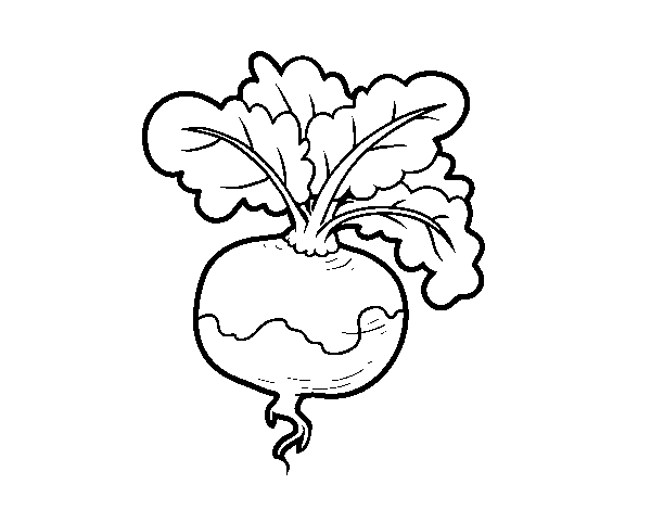A turnip coloring page