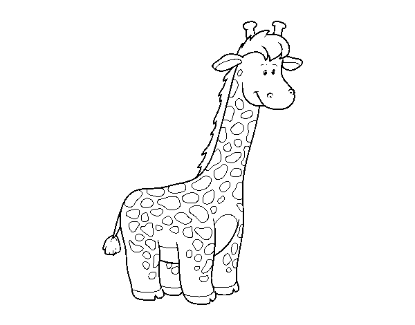 An African giraffe coloring page