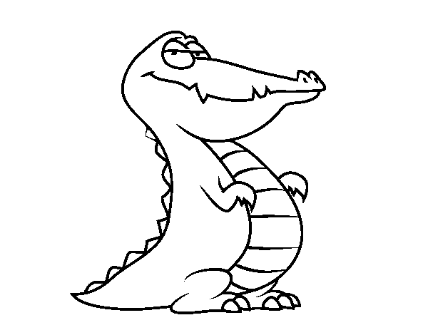An alligator coloring page