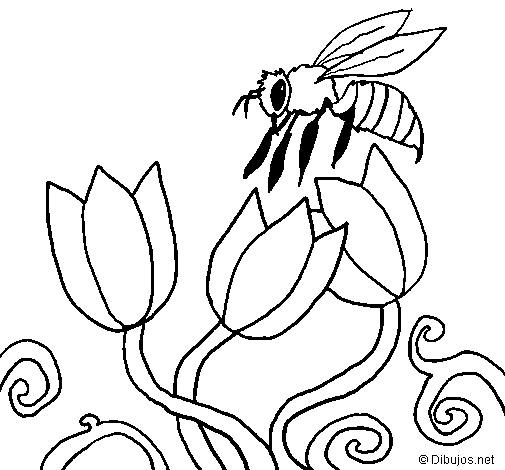 Bee coloring page