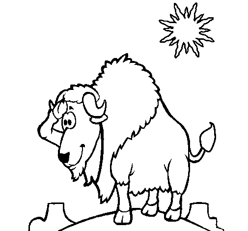 Bison in desert coloring page