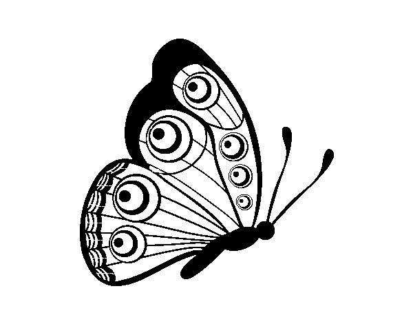 Butterfly right coloring page