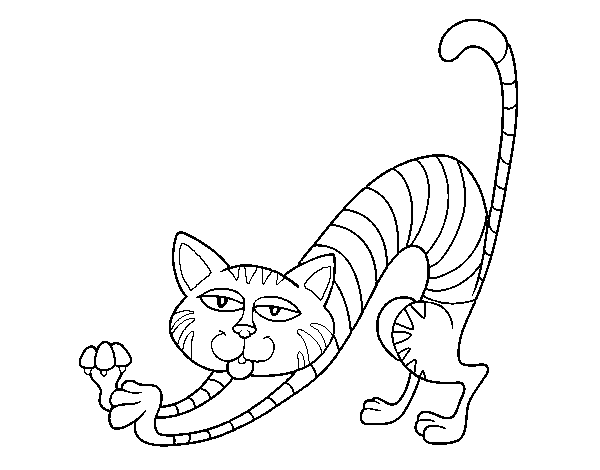 Cat by stretching coloring page