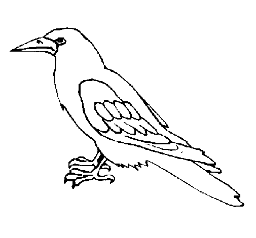 Crow coloring page