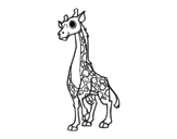 Female giraffe coloring page