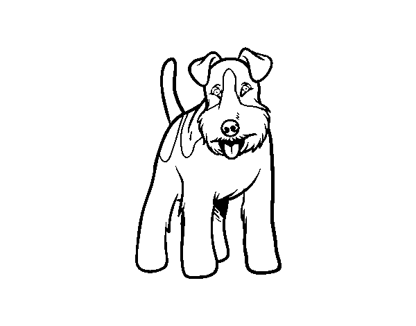 Fox Terrier dog coloring page