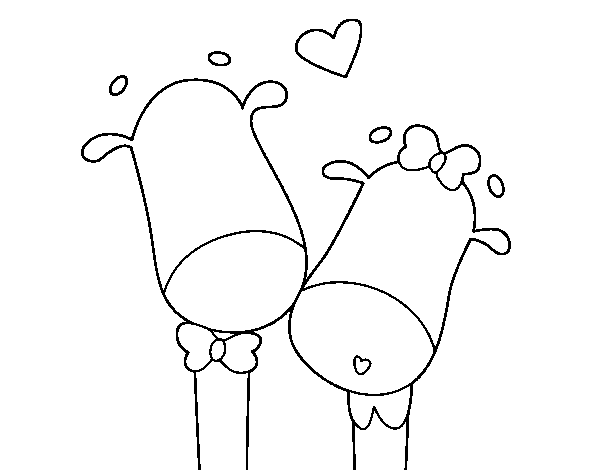 Giraffes in love coloring page