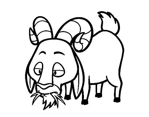 Goat eating coloring page