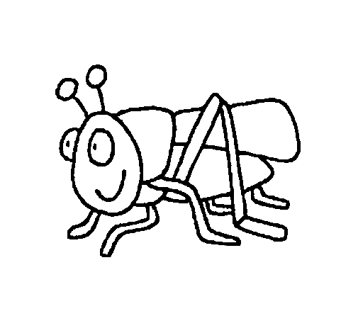 Grasshopper 2 coloring page