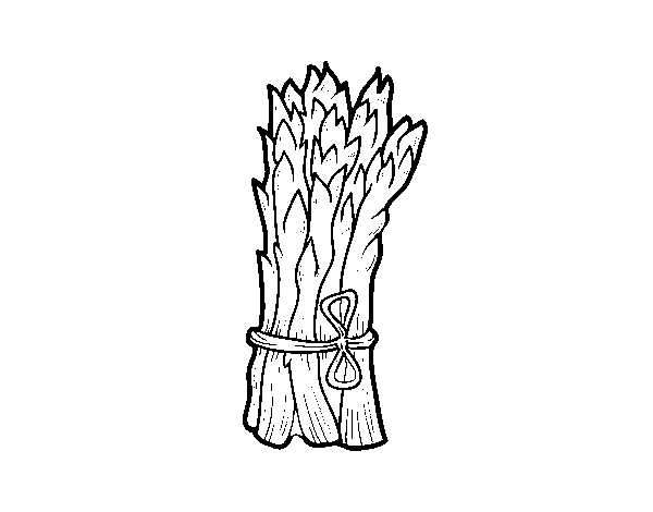 Green asparagus coloring page