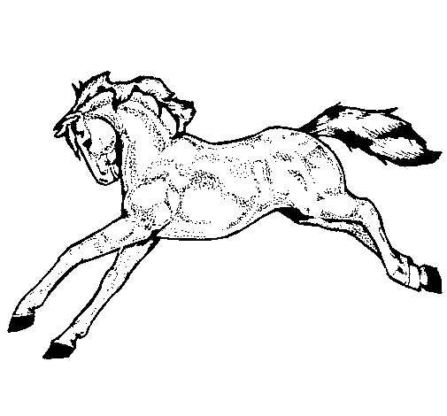 Download Horse running coloring page - Coloringcrew.com