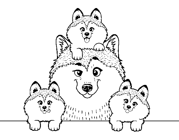 Husky family coloring page
