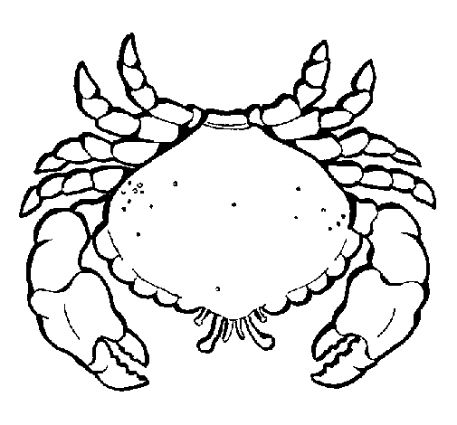 Large crab coloring page