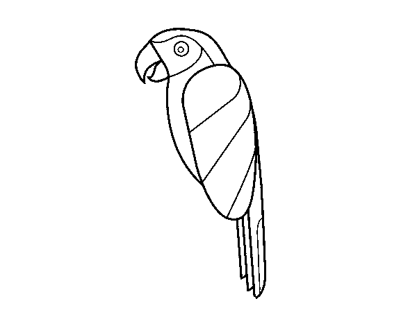 Macaw bird coloring page