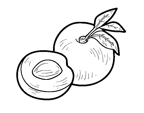 Nectarine coloring page