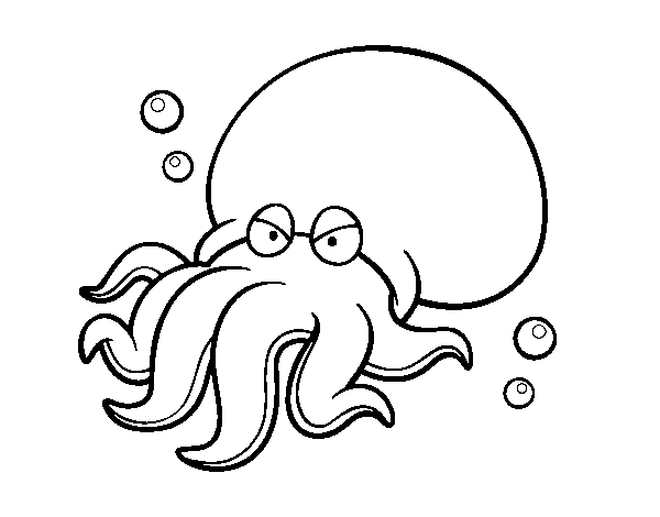 Octopoda coloring page