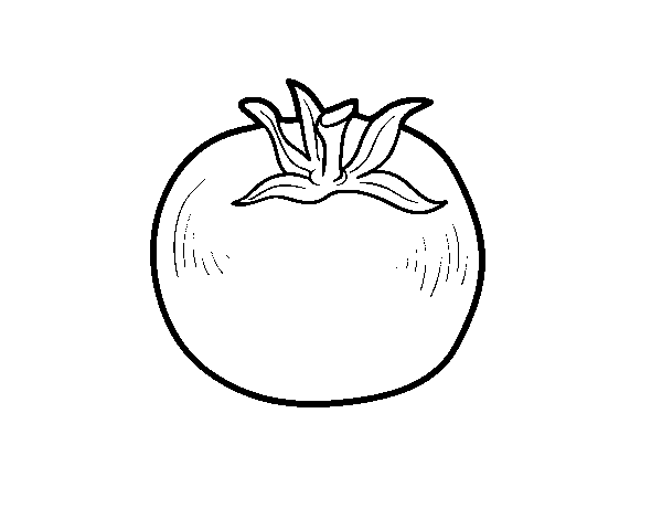 Organic tomato coloring page