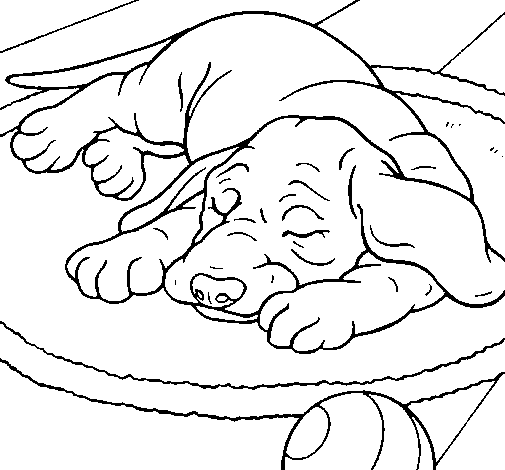 Sleeping dog coloring page