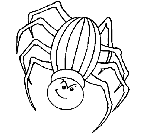 Spider coloring page