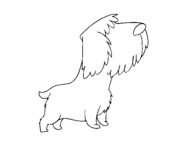 Stray puppy coloring page