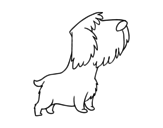 Stray puppy coloring page