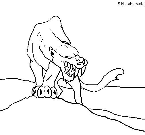 Tiger with sharp fangs coloring page