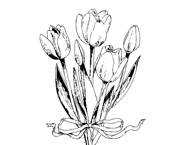 Tulips with a bow coloring page