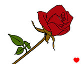 201213/rose-nature-flowers-painted-by-zachsbaby-79287_163.jpg