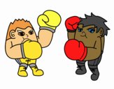 Boxing match