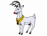Elegant reindeer
