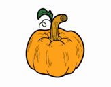 A pumpkin Cucurbita