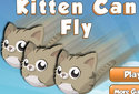 Kitten can fly